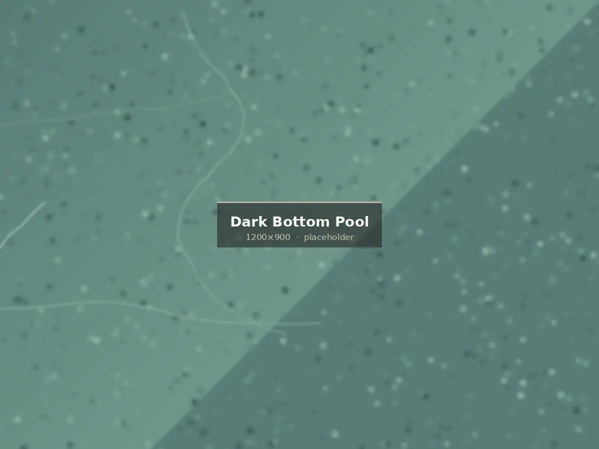 Bush hammered andesite pool deck beside a dark bottom pool